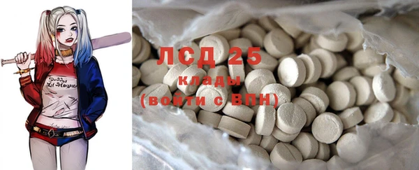 индика Аркадак