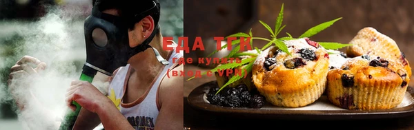 индика Аркадак