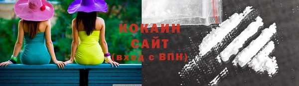 индика Аркадак