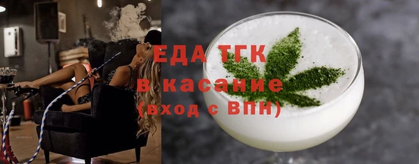 индика Аркадак