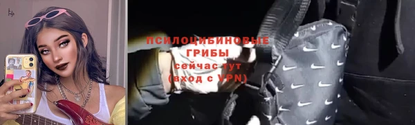 индика Аркадак