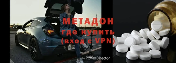 индика Аркадак