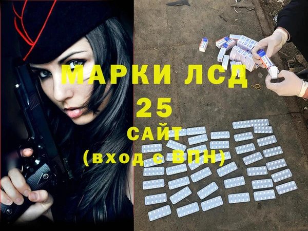 шишки Арсеньев