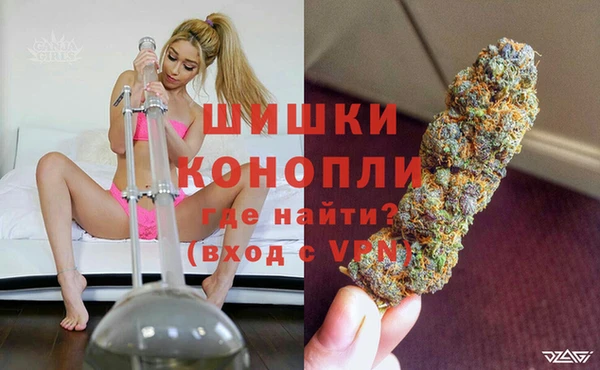 шишки Арсеньев