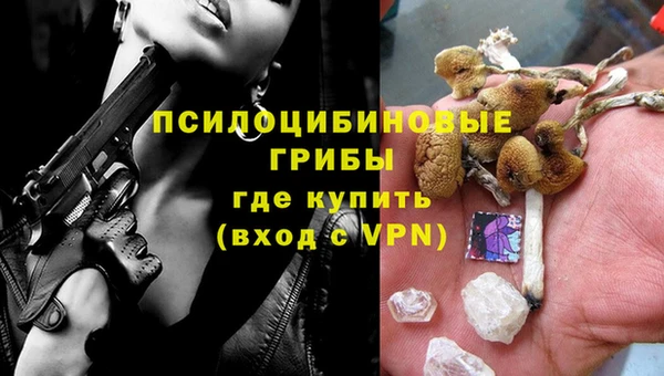 индика Аркадак
