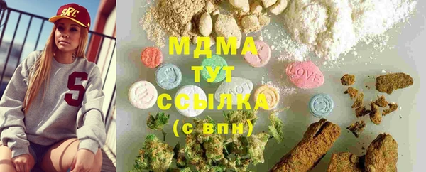 индика Аркадак