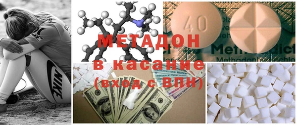шишки Арсеньев