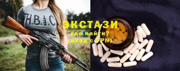 шишки Арсеньев