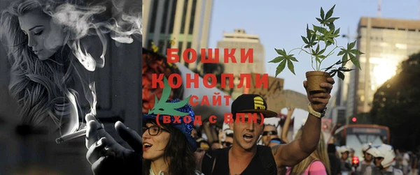 шишки Арсеньев