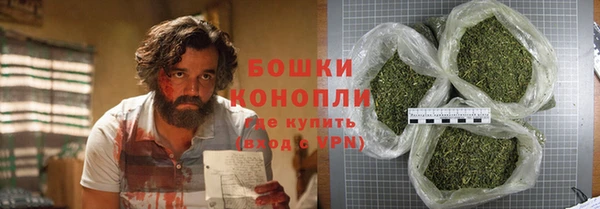 шишки Арсеньев